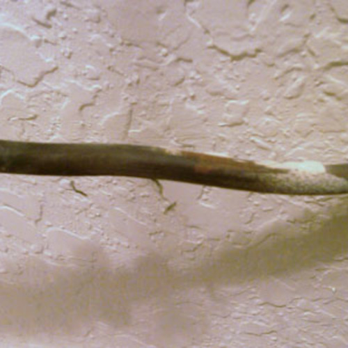 Chinese Drywall Maker to Cough Up Tardy Payments GreenBuildingAdvisor